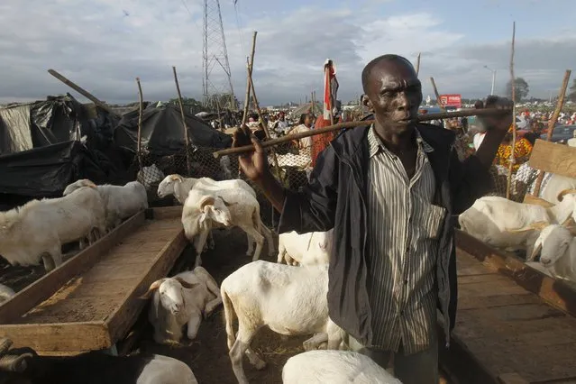 A sheep seller stands near his sheep at a sheep market two days ahead of Eid al-Adha, in Port Bouet, Abidjan, Ivory Coast September 22, 2015. (Photo by Luc Gnago/Reuters)