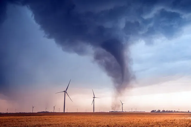 An EF3 tornado rips through a windmill-farm. (Photo by Dennis Oswald/Caters News)