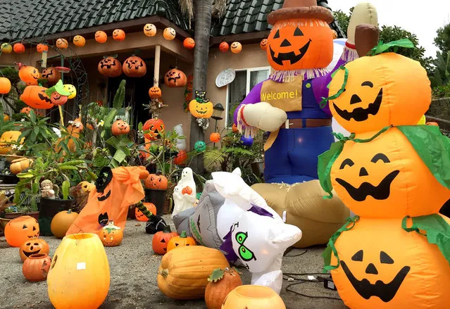 A house is adorned with hundreds of pumpkin decorations in the Los Angeles suburb of Santa Monica, California, USA,  16 October 2015, as an early start on Halloween. In the United States Halloween, held on 31 October, celebrants often decorate their homes with scary decorations such as witches, spiders and draculas as well as the traditional carved pumpkin. (Photo by Mike Nelson/EPA)