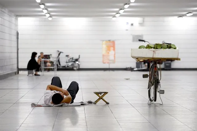 A vendor sleeps on the ground next to his bicycle loaded with a box of lotus in an underpass in Beijing on September 20, 2016. (Photo by Wang Zhao/AFP Photo)