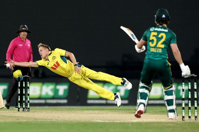 South Africa's Dewald Brevis (R) watches Australia's Nathan Ellis (L) dive across the pitch to field the ball during the third one-day international cricket match between Australia and South Africa at the Great Barrier Reef Arena in Mackay on August 24, 2025. (Photo by David Gray/AFP Photo)
