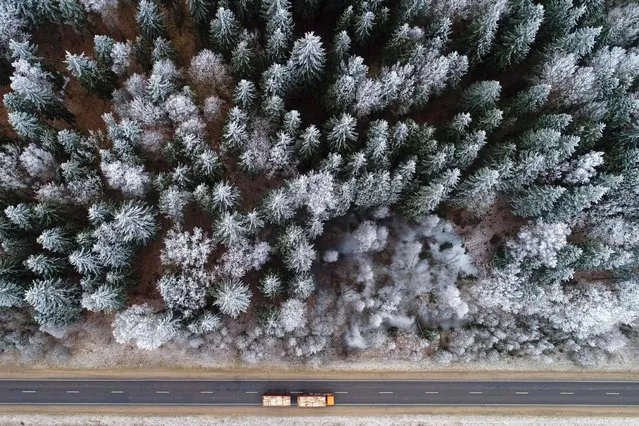 An aerial picture taken with a drone on January 12, 2018 shows a truck driving on a forest road near the village of Krevo, some 100 km north of Minsk, Belarus. (Photo by Sergei Gapon/AFP Photo)