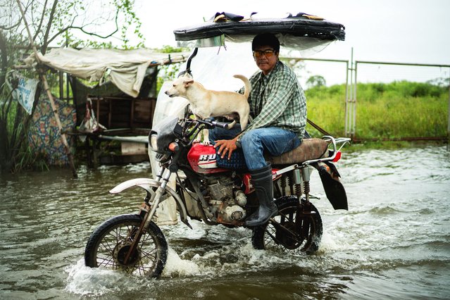 A motorist with a dog wades through a flooded road, following heavy rains intensified by Super Typhoon Ragasa, in Apalit, Pampanga province, Philippines, on September 23, 2025. (Photo by Lisa Marie David/Reuters)