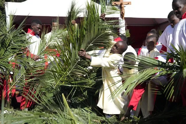 Children pick branches of palm trees during activities to commemorate Palm Sunday, at the Roman Catholic Church in Harare, Sunday, April, 2, 2023. (Photo by Tsvangirayi Mukwazhi/AP Photo)