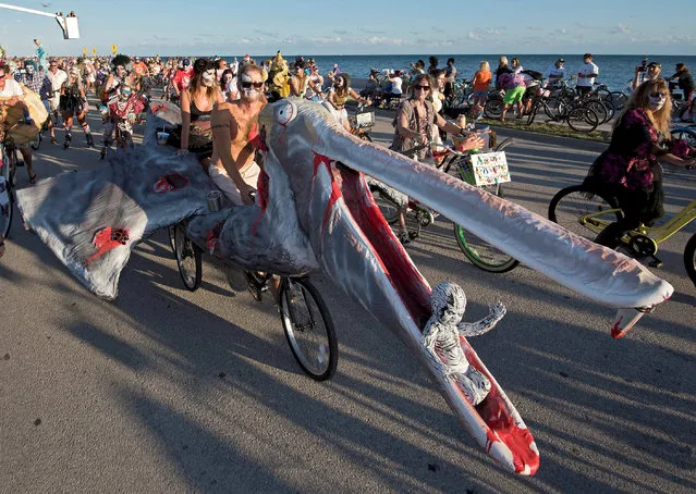 A zombie pelican bicycle is manoeuvred on South Roosevelt Boulevard during the Zombie Bike Ride as part of annual Fantasy Fest costuming and masking festival in Key West, Florida, U.S. October 23, 2016. (Photo by Rob O'Neal/Reuters/Florida Keys News Bureau)
