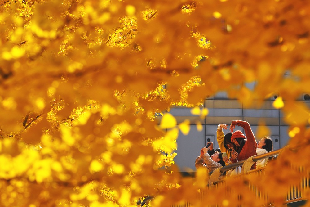 A Look at Life in China