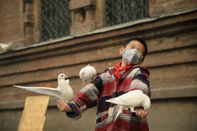 A boy wearing a mask reacts as he feeds pigeons on a hazy day in Harbin, Heilongjiang province, China, November 3, 2015. Some kindergartens and schools were closed as severe air pollution hit northeastern Chinese city of Harbin on Tuesday, local media reported. (Photo by Reuters/Stringer)