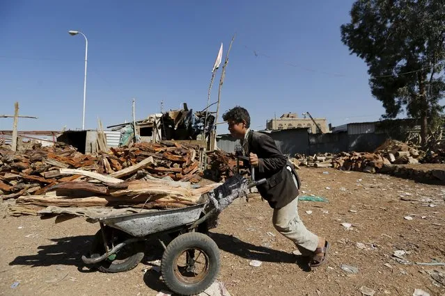 A boy pushes a wheel cart with firewood at a market amid ongoing fuel and cooking gas shortages in Yemen's capital Sanaa, December 2, 2015. (Photo by Khaled Abdullah/Reuters)