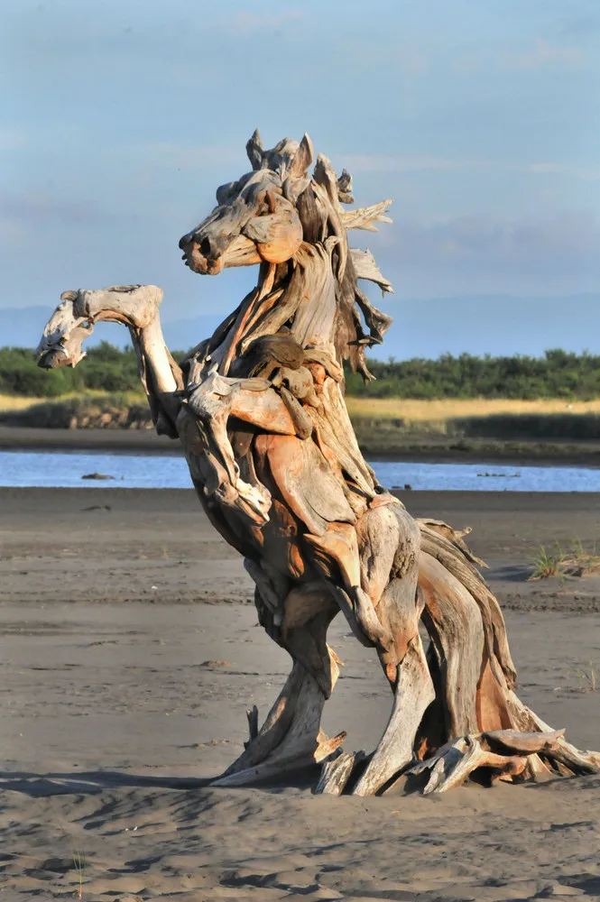 Amazing Driftwood Sculpture