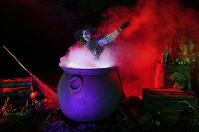 A model dressing as a witch poses beside lights installations during the media preview of a new Halloween light trail in Kew Gardens, Kew, in London, Thursday, October 17, 2024. (Photo by Kin Cheung/AP Photo)