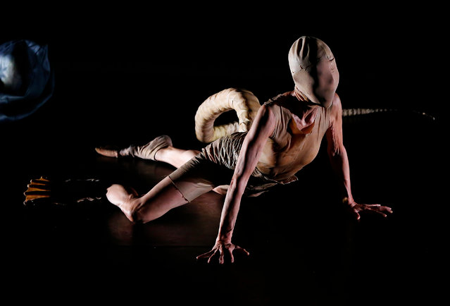 Japanese dancer Yumiko Yoshioka performs “One Hundred Light Years of Solitude” at Conjunto Santander de Artes Escénicas in Guadalajara, Mexico, 10 November 2024. Inspired by the novel “One Hundred Years of Solitude” by late Colombian writer Gabriel García Márquez (1927-2014), Yoshioka starred in a performance reflecting on loneliness and life. (Photo by Francisco Guasco/EPA/EFE)