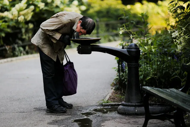 A man drinks from a water fountain on a hot summer day in Central Park, Manhattan, New York on July 1, 2018. (Photo by Eduardo Munoz/Reuters)