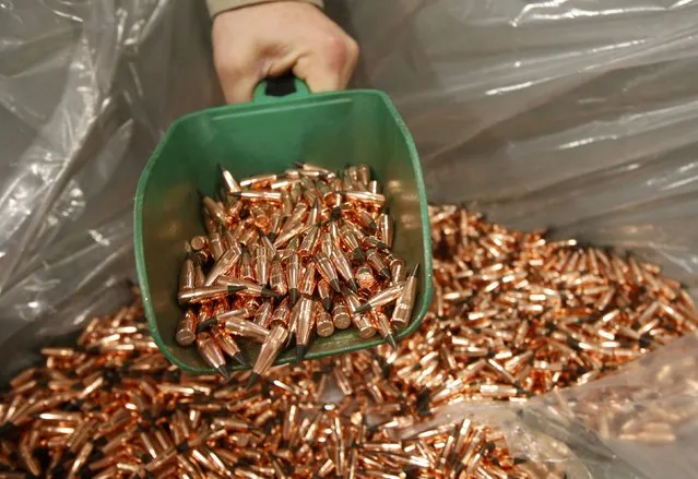 Finished bullet tips are scooped from a bin at Barnes Bullets in Mona, Utah, January 6, 2015. (Photo by George Frey/Reuters)