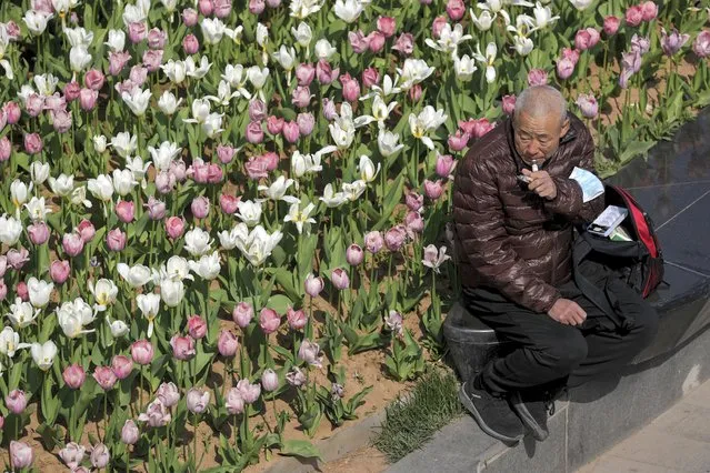 A man takes medicines, removing his face mask near tulips outside a commercial office building in Beijing, Monday, April 19, 2021. (Photo by Andy Wong/AP Photo)