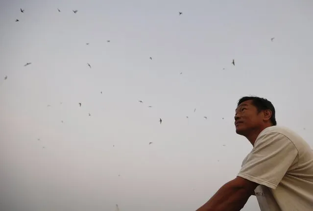 Caretaker Tan Jin Hong looks at swifts attracted by the bird songs played by a machine at the Swiftlet Eco Park in Perak, northern Malaysia, February 15, 2015. (Photo by Olivia Harris/Reuters)