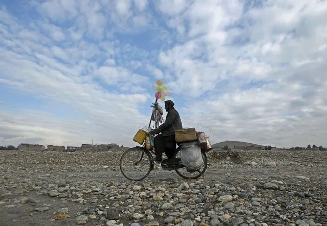 An Afghan man rides his bicycle as he sells balloon on the outskirts of Jalalabad city, January 22, 2015. (Photo by Reuters/Parwiz)