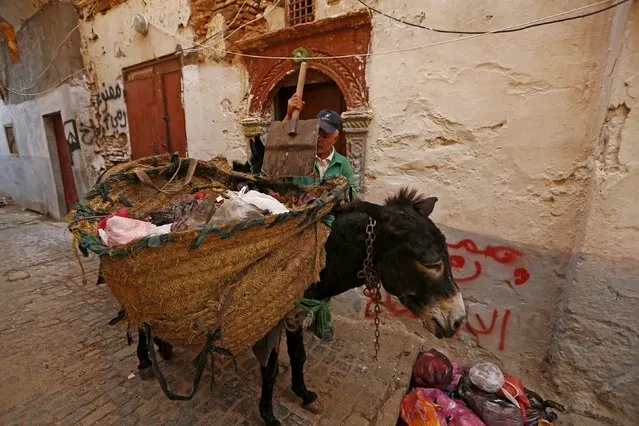 A garbage collector collects rubbish with the aid of donkeys in the old city of Algiers Al Casbah, Algeria  December 9, 2015. (Photo by Zohra Bensemra/Reuters)