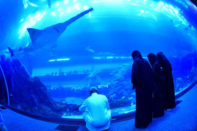Tourists and locals visit the Dubai Mall aquarium in downtown Dubai on January 2, 2019. (Photo by Giuseppe Cacace/AFP Photo)