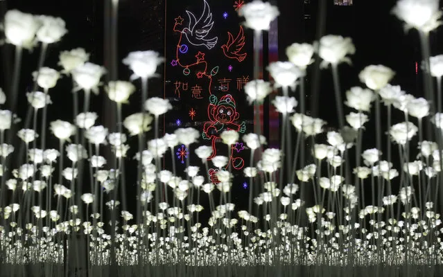 LED light roses are lit up at the “Light Rose Garden”, against the backdrop of  Central, the business district of Hong Kong, Saturday, February 13, 2016. (Photo by Kin Cheung/AP Photo)