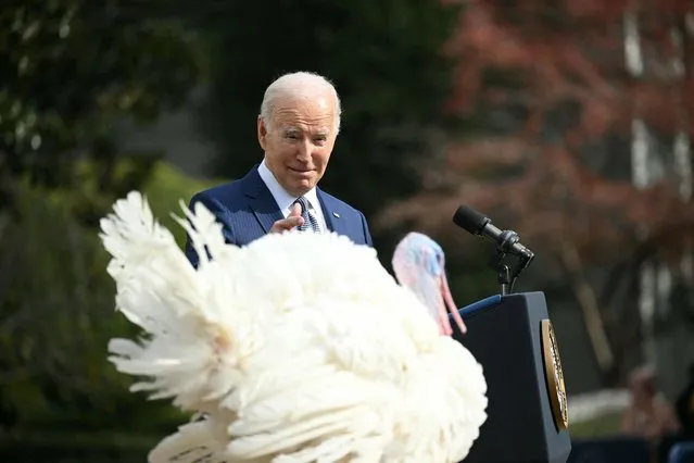US President Joe Biden pardons the national Thanksgiving turkey, Liberty, during a pardoning ceremony at the White House in Washington, DC on November 20, 2023. (Photo by Mandel Ngan/AFP Photo)