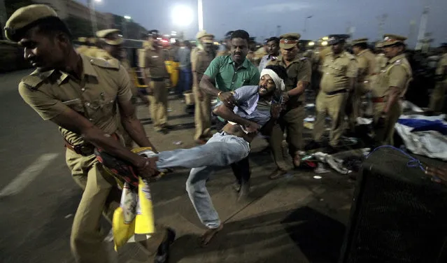 A protestor supporting Jallikattu, a traditional bull-taming ritual tries to resist as police remove them from the Marina beach on the Bay of Bengal coast in Chennai, India, Monday, January 23, 2017. Protestors attacked a police station with stones and set some vehicles on fire Monday in anger at being forcibly evicted from the beach where they been protesting for the past week in support of the sport. Jallikattu involves releasing a bull into a crowd of people who attempt to grab it and ride it. It is popular in Tamil Nadu state, but India's top court banned it in 2014 on grounds of animal cruelty. (Photo by AP Photo/Stringer)
