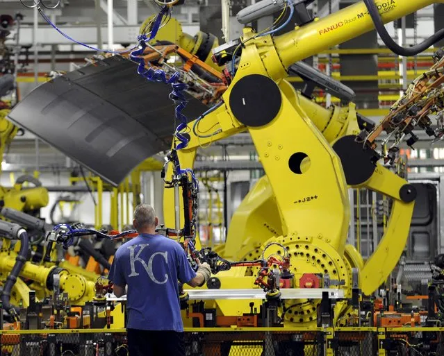 An auto worker feeds aluminum panels to robots at Ford's Kansas City Assembly Plant where new aluminum intensive Ford F-Series pickups are built in Claycomo, Missouri May 5, 2015. (Photo by Dave Kaup/Reuters)