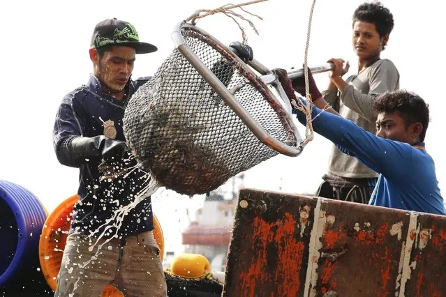 A picture made available 22 March 2016 shows migrant fishermen from Myanmar on a Thai fishing boat unloading fish at a jetty in Samut Sakhon province, Thailand, 11 March 2016. The theme of World Water Day 2016, observed on 22 March, is “better water, better jobs”, and focuses on informing people about the role that clean and abundant water sources has on the lives of people that work in water related industries. South East Asia's fishing industry faces issues of over-fishing and forced and illegal labor on fishing boats. (Photo by Diego Azubel/EPA)