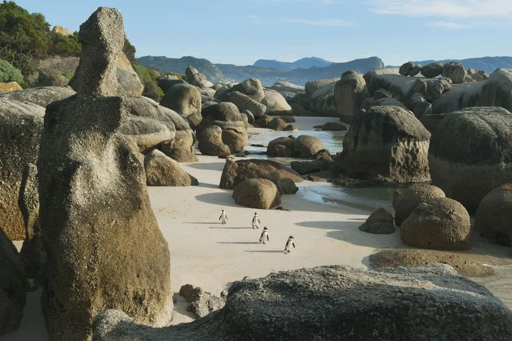 Simply Some Photos: Animals