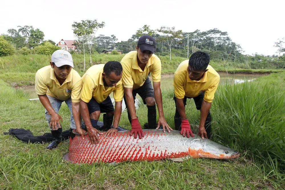 The Day in Photos – March 27, 2016