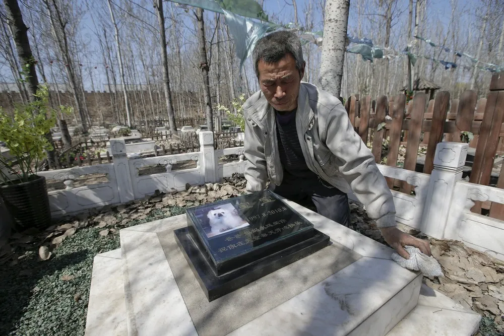 Pet Cemetery in China