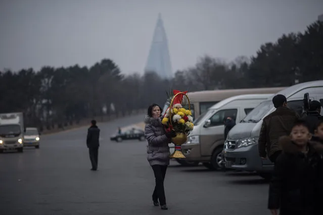 A woman carries flowers during a visit to the statues of late North Korean leaders Kim Il-Sung and Kim Jong-Il to pay their respects on the occasion of the 75th anniversary of the birth of Kim Jong-Il, at Mansudae hill in Pyongyang on February 16, 2017. (Photo by Ed Jones/AFP Photo)