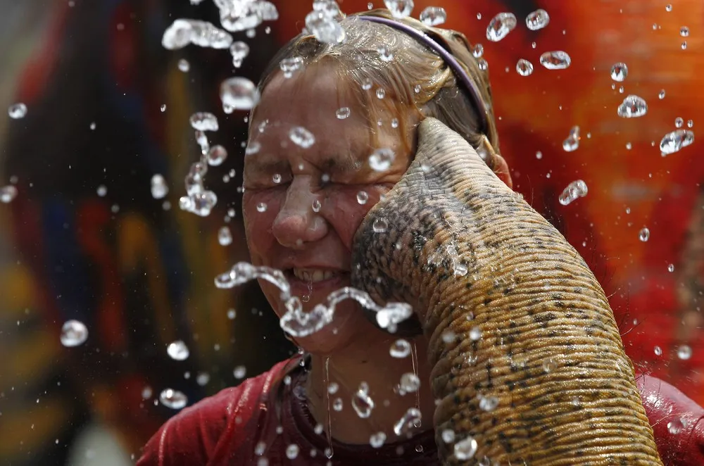 Elephant Water Fight for Songkran Festival in Thailand