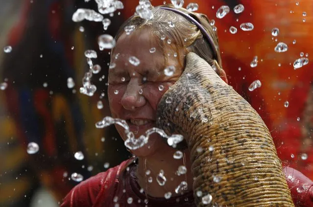 A tourist reacts as an elephant sprays her with water in celebration of the Songkran water festival in Thailand's Ayutthaya province, April 9, 2014. Songkran, the most celebrated festival of the year, marks the start of Thailand's traditional New Year. (Photo by Chaiwat Subprasom/Reuters)