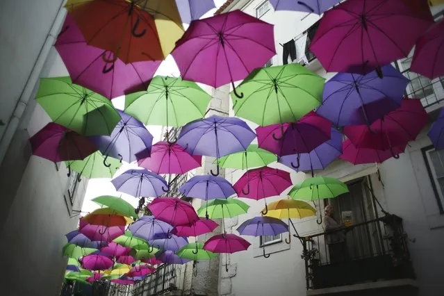 A man looks out from his balcony at a street decorated with umbrellas of different colors at the Alfama neighborhood in Lisbon March 18, 2014. (Photo by Rafael Marchante/Reuters)