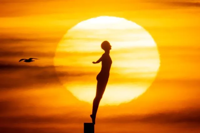 The Diving Belle statue in Scarborough on the Yorkshire coast looks poised to enter the sea at sunrise on February 7, 2022. (Photo by Andrew McCaren/London News Pictures)