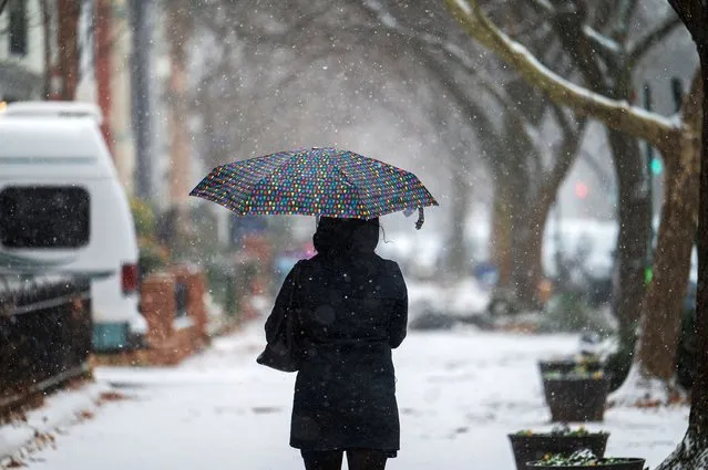 Claire Garvin walks with her umbrella on Capitol Hill during a snowstorm in Washington, DC on January 16, 2022. (Photo by Craig Hudson/The Washington Post)