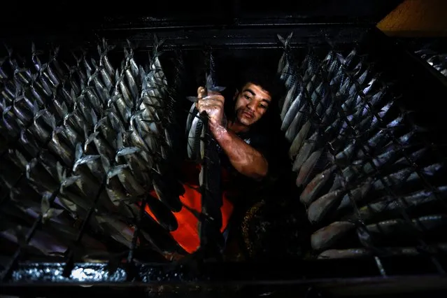 A Palestinian man prepares salted fish to be sold in a market ahead of Eid al-Fitr, in Rafah, in the southern Gaza Strip, April 26, 2022. (Photo by Ibraheem Abu Mustafa/Reuters)