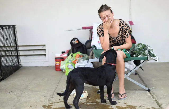 Terralyn Lehman recalls fleeing the Erskine Fire as she sits outside an evacuation center at Kernville Elementary School in Kernville, California, U.S. June 26, 2016. Lehman, whose South Lake home burned Thursday, said the sound of an exploding propane tank woke her and her mom as the flames reached their back fence. (Photo by Noah Berger/Reuters)