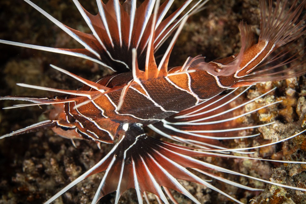 Some Photos: Waterworld