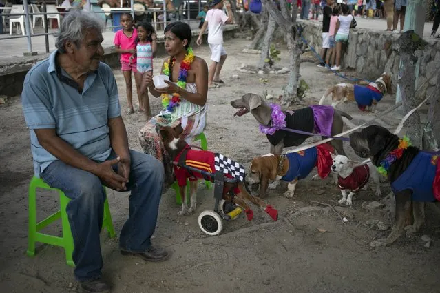Dogs rescued from the streets by the government run “Mision Nevado” are tened to by a volunteer at the beach during Carnival in La Guaira, Venezuela, Monday, February 24, 2020. (Photo by Ariana Cubillos/AP Photo)