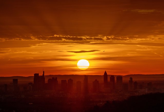 The sun rises behind buildings of the banking district in Frankfurt, Germany, Monday, November 25, 2024. (Photo by Michael Probst/AP Photo)