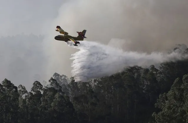 A fire fighting plane drops its water load over a forest near Vilanova during extinguishing works at a forest fire around Cotobade in Galicia, Spain, 09 August 2016. The fire, that started in the afternoon hours on 08 August 2016, reportedly has already burnt some 200 hectares. (Photo by EPA/Sxenick)