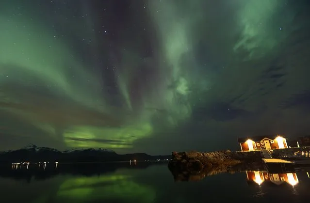 An Aurora Borealis (Northern Lights) is seen over a fishing harbour at the Bals-Fiord north of the Arctic Circle, near the village of Mestervik late September 30, 2014. (Photo by Yannis Behrakis/Reuters)