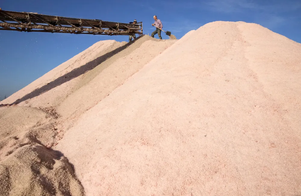 Harvesting Pink Salt in Crimea