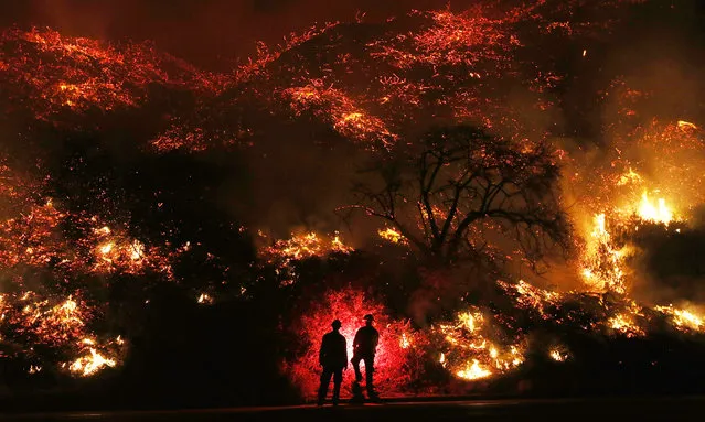 Firefighters monitor a section of the Thomas Fire along the 101 freeway on December 7, 2017 north of Ventura, California. The firefighters occasionally used a flare device to burn-off brush close to the roadside. Strong Santa Ana winds are rapidly pushing multiple wildfires across the region, expanding across tens of thousands of acres and destroying hundreds of homes and structures. (Photo by Mario Tama/Getty Images)