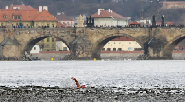 A swimmer participates in the annual Christmas winter swimming competition in the Vltava river in Prague, Czech Republic December 26, 2017. (Photo by David W. Cerny/Reuters)