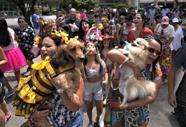 Owners and their costumed pets take part in the “Blocao” dog carnival parade in Rio de Janeiro, Brazil, Saturday, February 18, 2023. (Photo by Silvia Izquierdo/AP Photo)