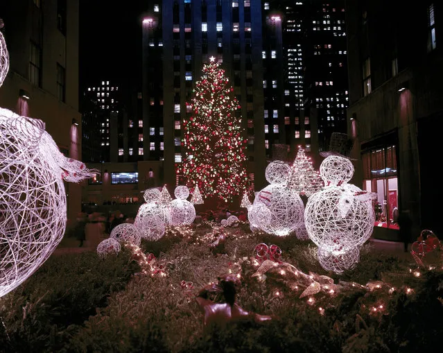 This is a night view of the famous christmas tree at Rockefeller Center, seen through the Channel Gardens from Fifth Avenue, in December 1961. (Photo by AP Photo)