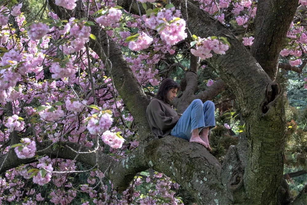 USA last Week, Part 1/3