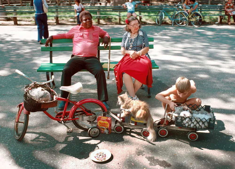 New York City's Parks in 1978